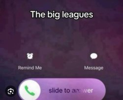 The big leagues Meme Template