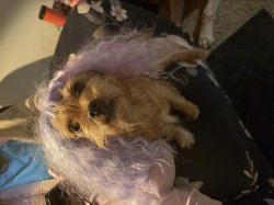 Looking pretty good Meme Template