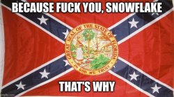 Matt Dillon Confederate Florida Flag Meme Template