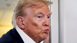 Trump senile dementia crazy malignant narcissism Meme Template