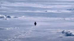 But Why Meme Template