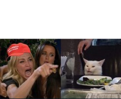 maga woman shouting at cat Meme Template