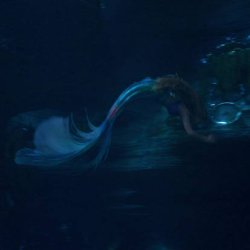 ugly bitch Meme Template