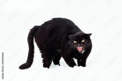 Epic Launch Fail Meme Template