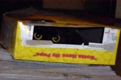 Chrisjoines1 Meme Template