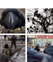 Ice Crow murder Meme Template