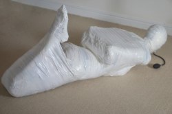 Mummified hogtie Meme Template