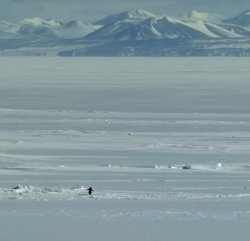 Nihilist Penguin Meme Template