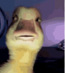 when you catch your wife ditching you for no reason Meme Template