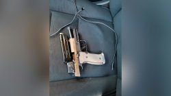 Alex Peretti Meme Template