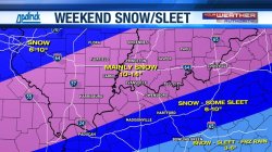 Winter storm Fern Meme Template