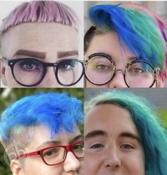 Domestic Terrorists Meme Template