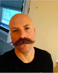 I am the walrus Meme Template