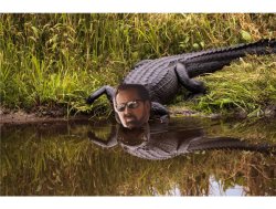 Nic Cage Alligator Meme Template