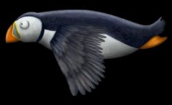 puffin Meme Template