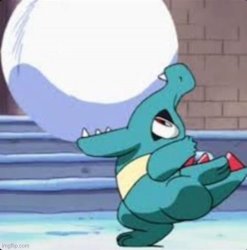 Totodile biting snowball Meme Template