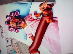 Generic Dog Meme Template