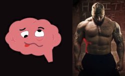 Dumb then not Meme Template