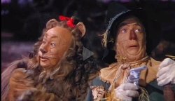 Rioting in Minnesota Meme Template