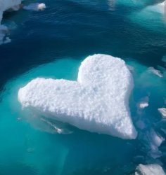 Heart of ice Meme Template