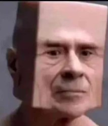 joe metri desh Meme Template