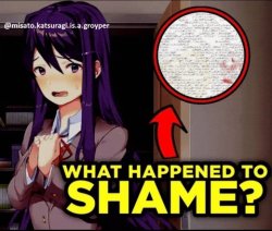 what happened to shame Yuri ddlc Meme Template