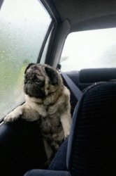 Chrisjoines1 Meme Template