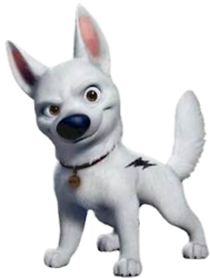 Bolt The White Dog Meme Template