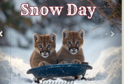 snow day Meme Template