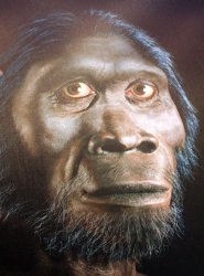 Diddy rap Meme Template