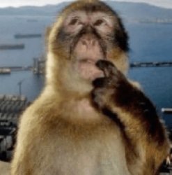 Thinking Meme Template