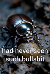 Majestic Dung Beetle Meme Template