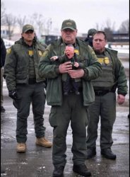 Short Bovino Meme Template