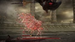 Malenia seeing impending doom from above Meme Template