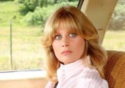 Dog Killer Meme Template