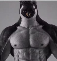 Penguin Chad Meme Template