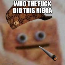 who the f#$@ did this n$#@% Meme Template