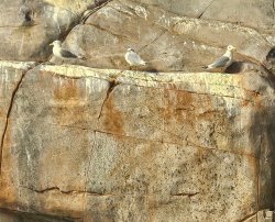 mine - ours Meme Template