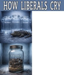 How Liberals Cry Meme Template
