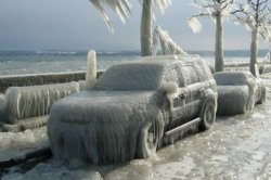 Winter Meme Template