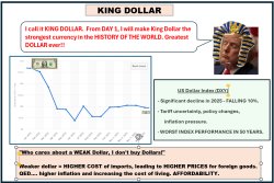 Weak US Dollar Meme Template