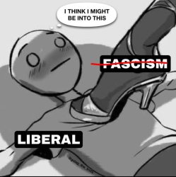 Liberal Women Meme Template