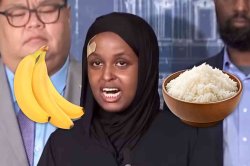 Bananas and rice Meme Template