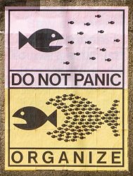 Do not Panic - Organize Meme Template
