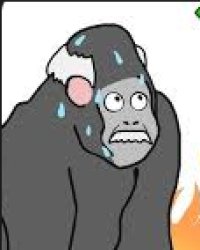 Monolo Meme Template