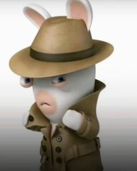 Mysterious ahh rabbid Meme Template