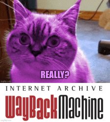 Really? Wayback Machine Meme Template