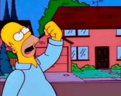 Que quieres de mi homero Meme Template