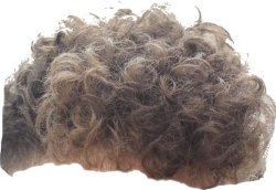 Gen Z hair Meme Template