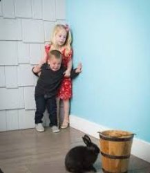 kids scared of bunny Meme Template